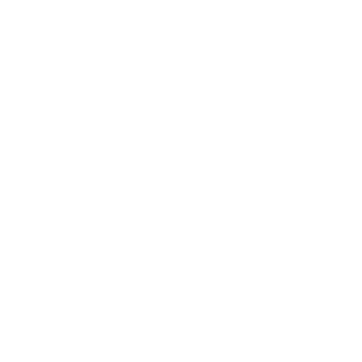 Chief Risk Officer