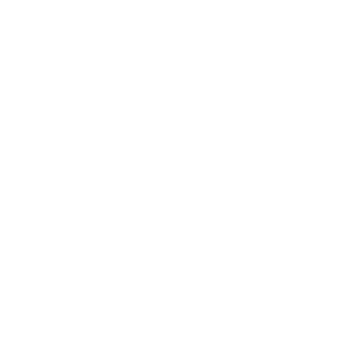 Chief Operating Officer