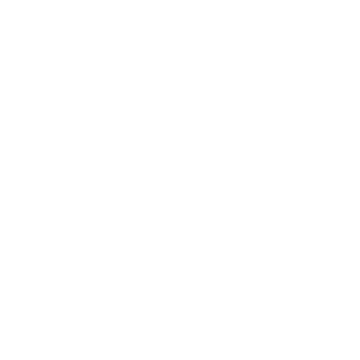 Chief Financial Officer