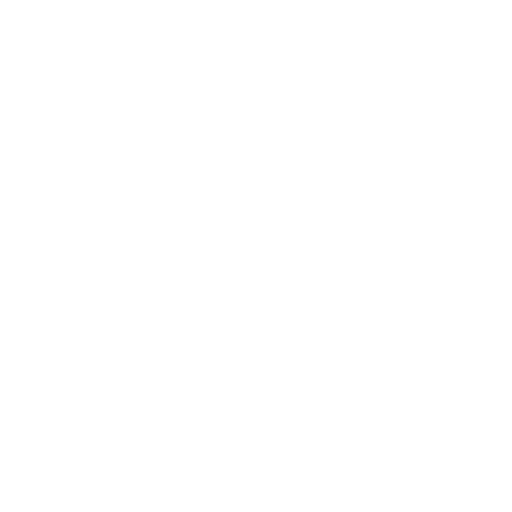 Chief Compliance Officer