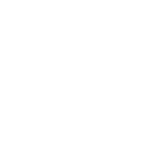 Chief Information & Technology Officer