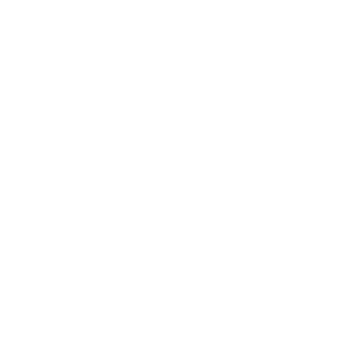 Chief Executive Officer